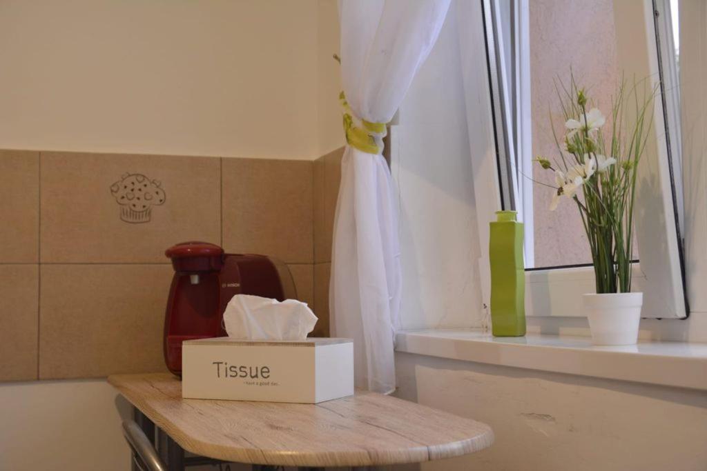 Sunrise Apartment Petroşani Εξωτερικό φωτογραφία
